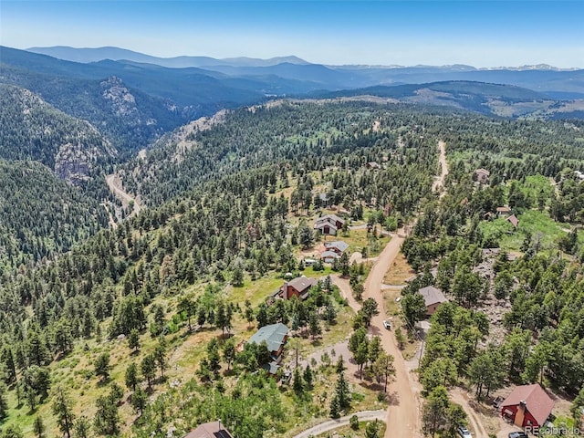 3592 Ridge Rd, Nederland, CO 80466 - photo 45