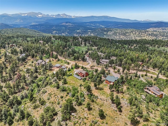 3592 Ridge Rd, Nederland, CO 80466 - photo 46
