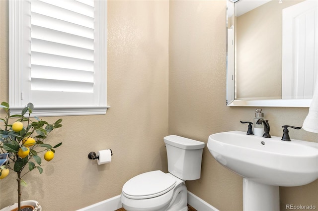 bathroom with sink, a wealth of natural light, and toilet