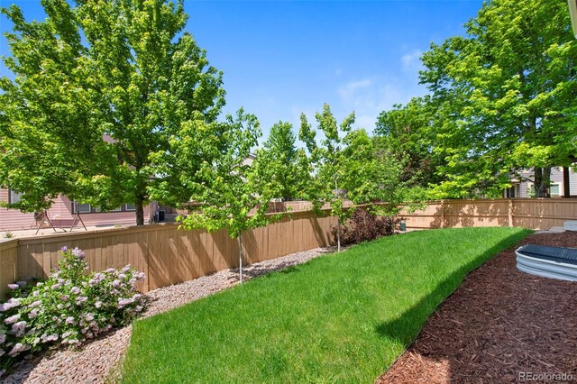 4821 Bluegate Dr, Highlands Ranch, CO 80130 - view of yard