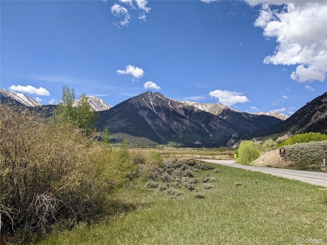1073 Sequoia Dr, Twin Lakes, CO 81251 - photo 18
