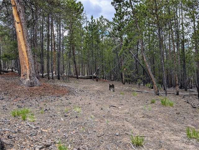 1073 Sequoia Dr, Twin Lakes, CO 81251 - photo 4