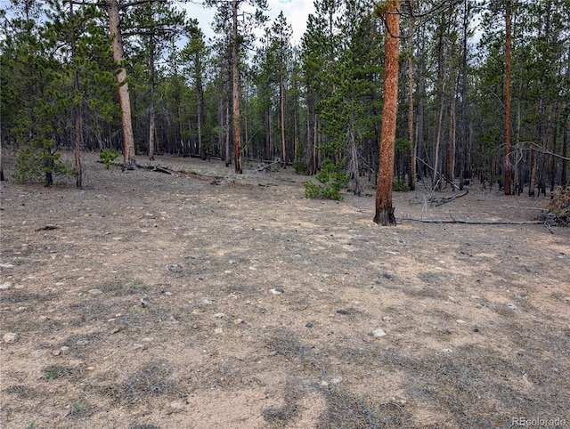 1073 Sequoia Dr, Twin Lakes, CO 81251 - photo 7