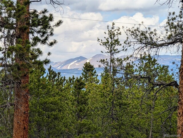 1073 Sequoia Dr, Twin Lakes, CO 81251 - photo 10