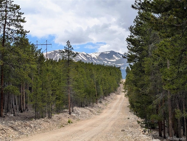 1073 Sequoia Dr, Twin Lakes, CO 81251 - photo 13