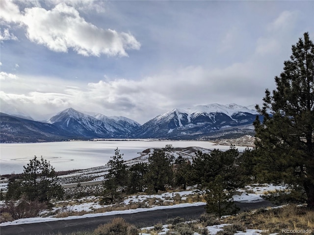 1073 Sequoia Dr, Twin Lakes, CO 81251 - photo 14