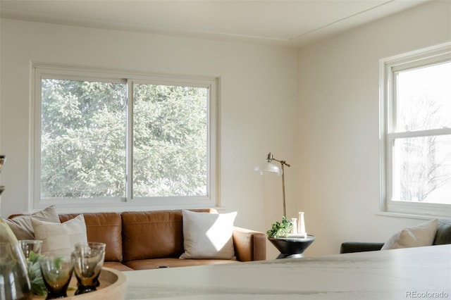 living room with a healthy amount of sunlight