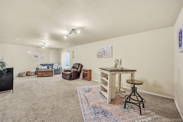 6645 Weeping Willow Dr, Colorado Springs, CO 80925 - photo 21