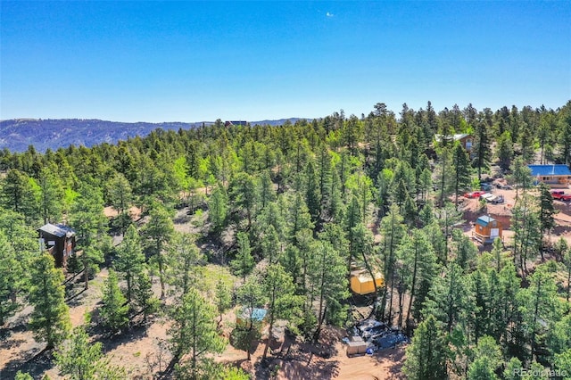 142 Osoeola Rd, Woodland Park CO, 80863 land for sale