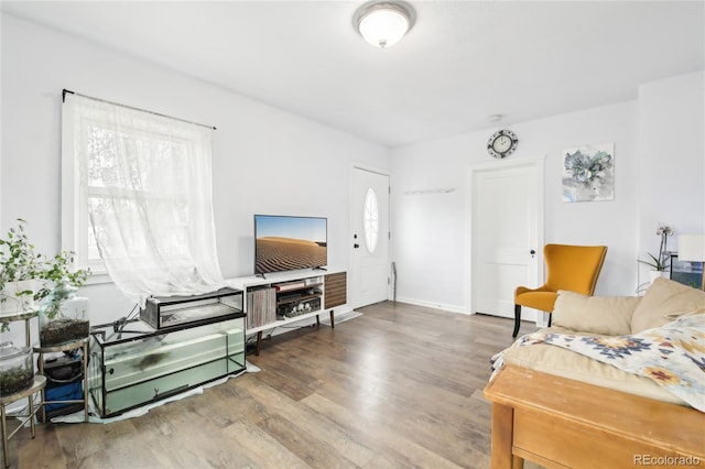 living area featuring a healthy amount of sunlight and wood finished floors