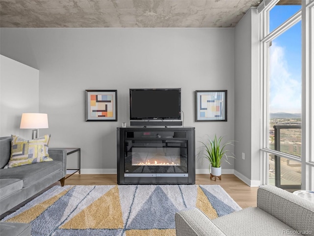891 14th St Unit 2505, Denver, CO 80202 - living area featuring wood finished floors and baseboards