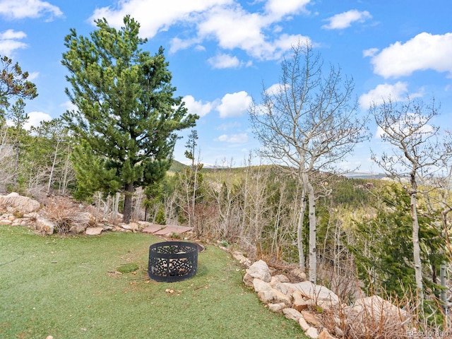 11766 Coal Creek Heights Dr, Golden, CO 80403 - view of green lawn
