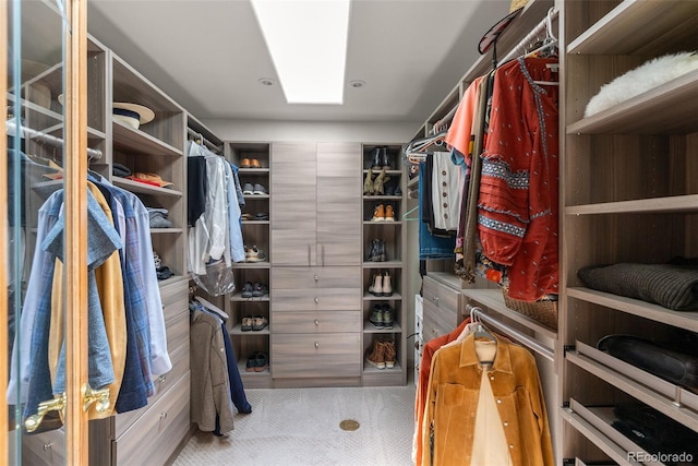 192 Nova Dr, Pine, CO 80470 - spacious closet featuring carpet