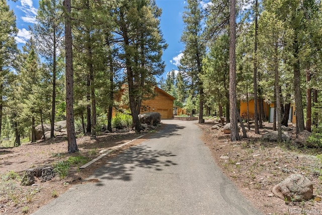 192 Nova Dr, Pine, CO 80470 - view of asphalt driveway