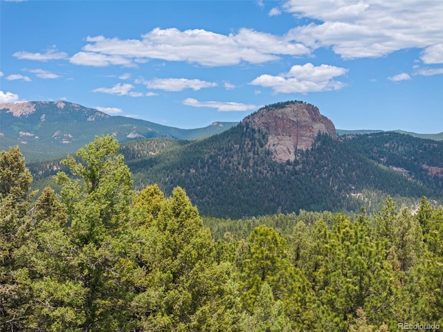 192 Nova Dr, Pine, CO 80470 - mountain view featuring a heavily wooded area
