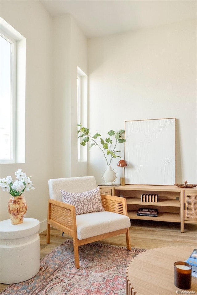 living area featuring wood finished floors