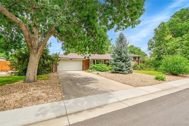 1920 Zang St, Golden, CO 80401 - photo 2
