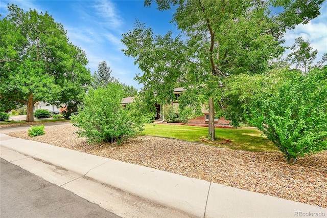 1920 Zang St, Golden, CO 80401 - photo 3