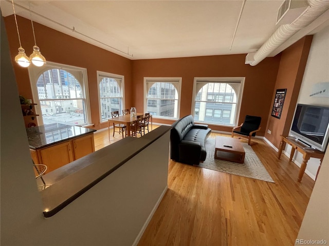 living room with light hardwood / wood-style flooring