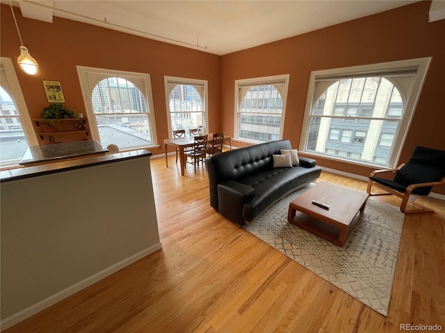 living room featuring light hardwood / wood-style flooring