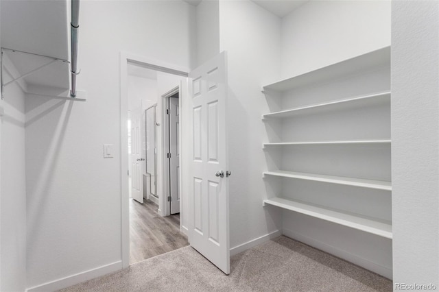 spacious closet featuring carpet flooring