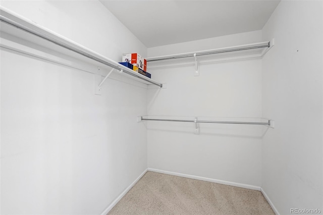 3371 Bexley Dr, Colorado Springs, CO 80922 - walk in closet featuring carpet