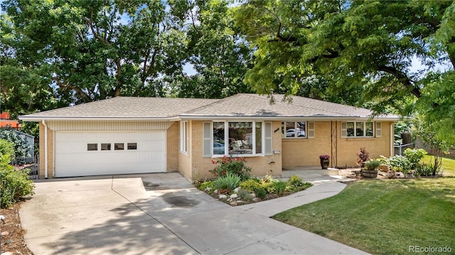 7742 W Florida Dr, Lakewood, CO 80232 - ranch-style house with concrete driveway, a garage, a front lawn, brick siding, and a shingled roof