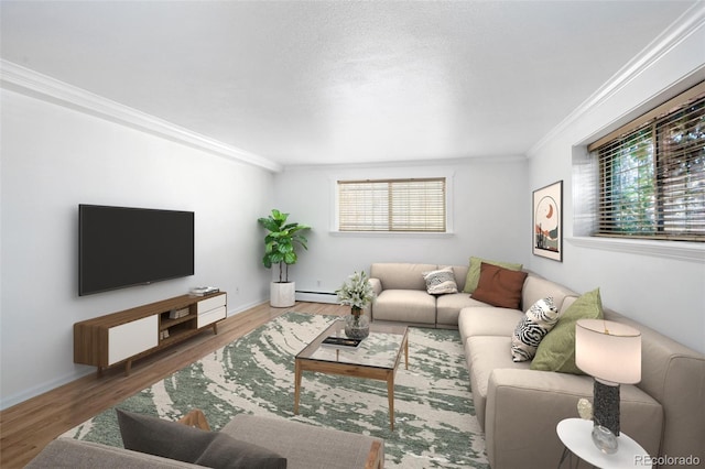 living room featuring crown molding and hardwood / wood-style floors