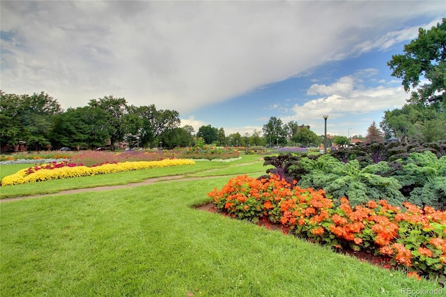 view of property's community featuring a yard