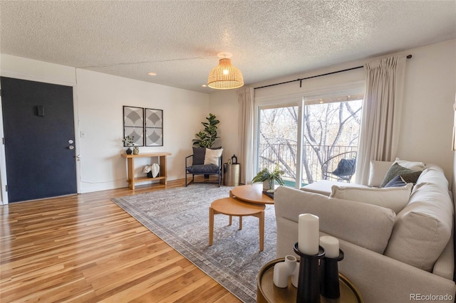 living area featuring wood finished floors and a textured ceiling