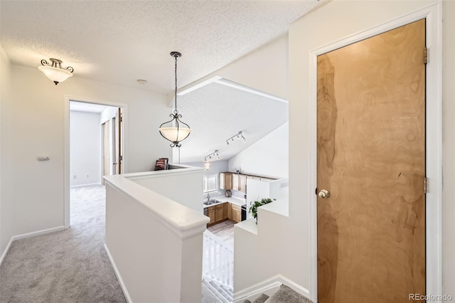 3734 Licorice Trl, Castle Rock, CO 80109 - hall featuring a textured ceiling, light carpet, and an upstairs landing