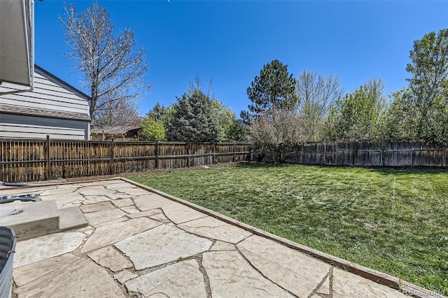 3734 Licorice Trl, Castle Rock, CO 80109 - fenced backyard with a patio area