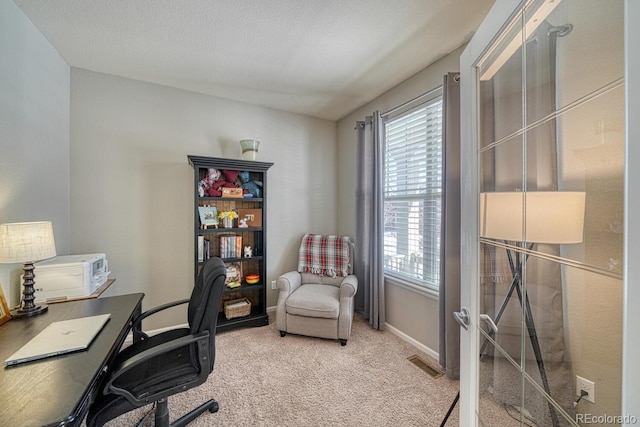 home office with carpet floors