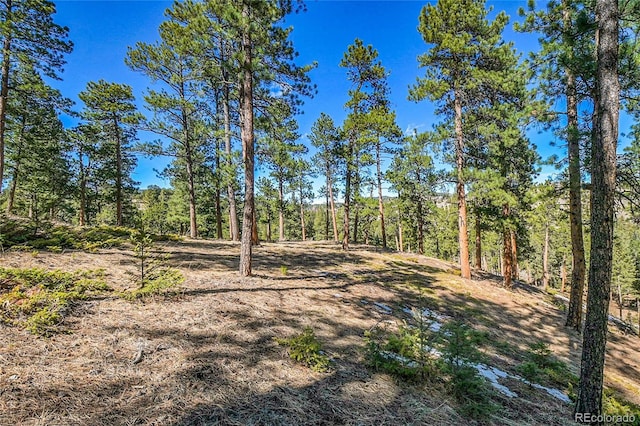 3325 Timbergate Trl, Evergreen, CO 80439