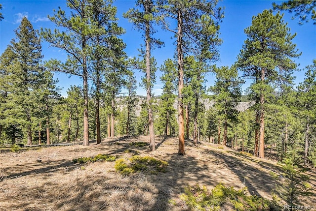 3325 Timbergate Trl, Evergreen, CO 80439