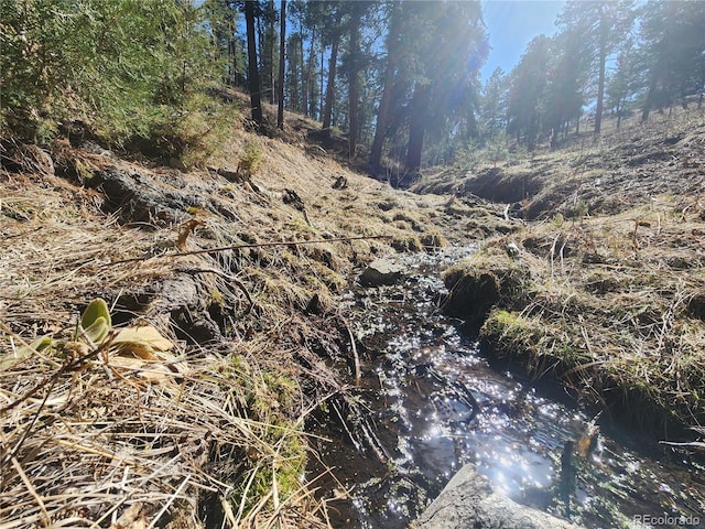 3325 Timbergate Trl, Evergreen, CO 80439