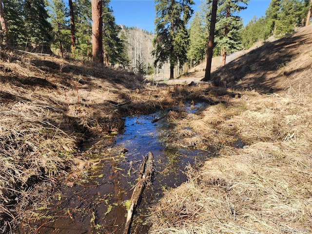 3325 Timbergate Trl, Evergreen, CO 80439