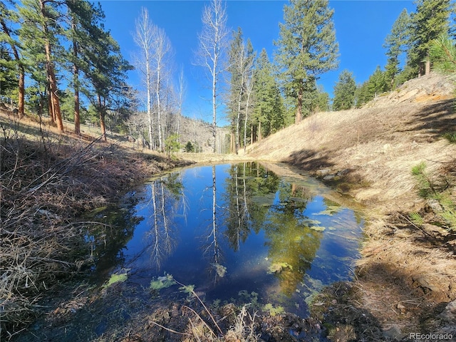 3325 Timbergate Trl, Evergreen, CO 80439