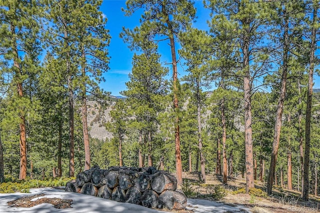 3325 Timbergate Trl, Evergreen, CO 80439