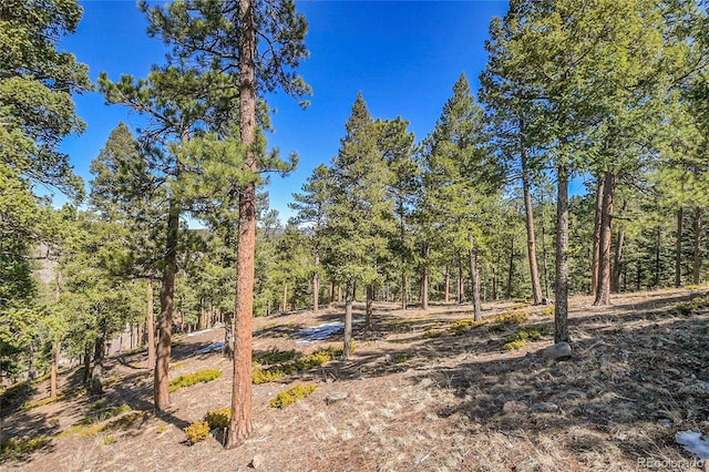 3325 Timbergate Trl, Evergreen, CO 80439