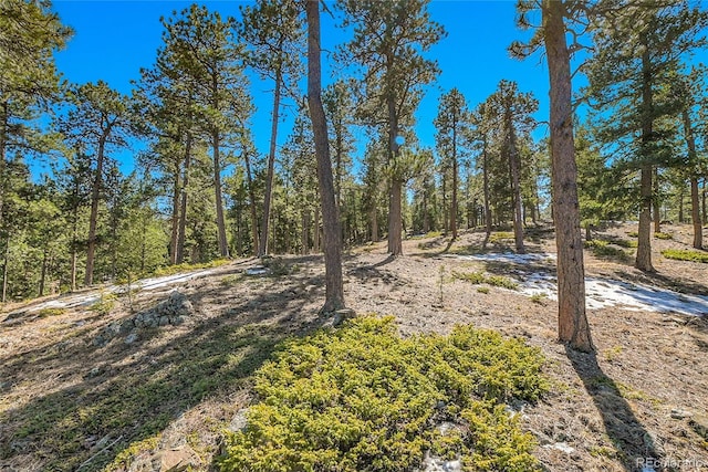 3325 Timbergate Trl, Evergreen, CO 80439