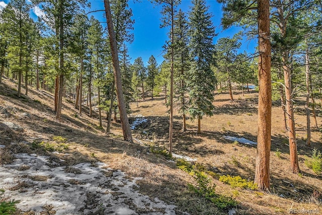 3325 Timbergate Trl, Evergreen, CO 80439