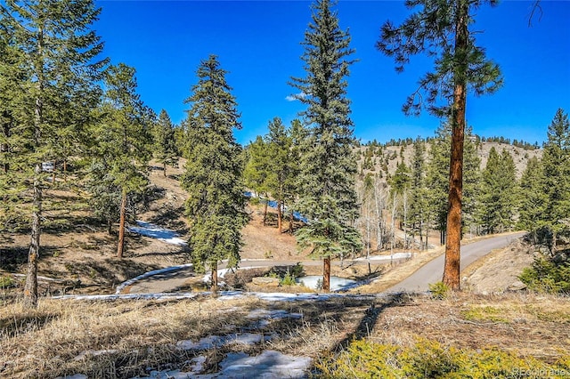 3325 Timbergate Trl, Evergreen, CO 80439