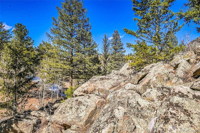 3325 Timbergate Trl, Evergreen, CO 80439