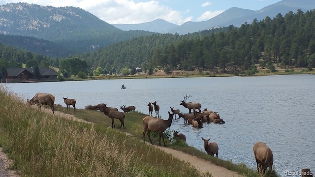 3325 Timbergate Trl, Evergreen, CO 80439