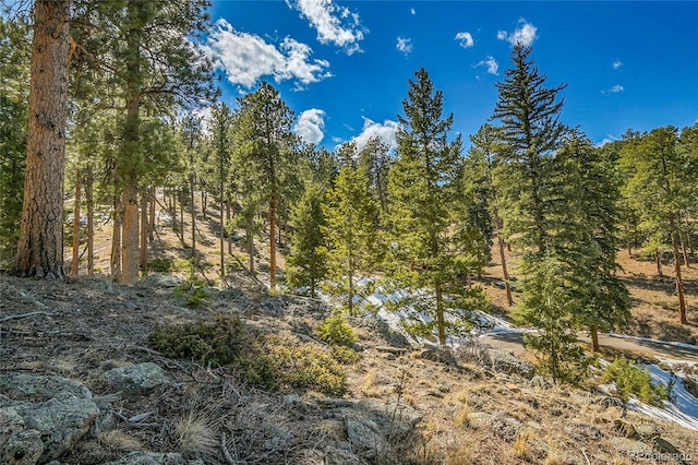 3325 Timbergate Trl, Evergreen, CO 80439