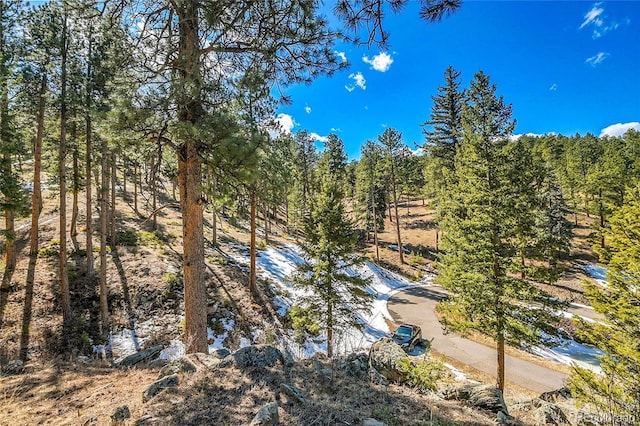 3325 Timbergate Trl, Evergreen, CO 80439