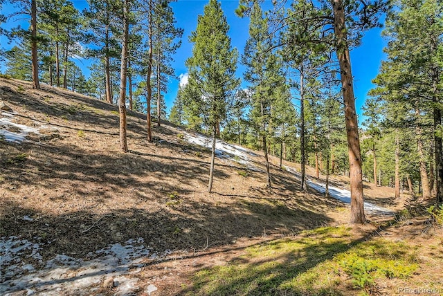 3325 Timbergate Trl, Evergreen, CO 80439