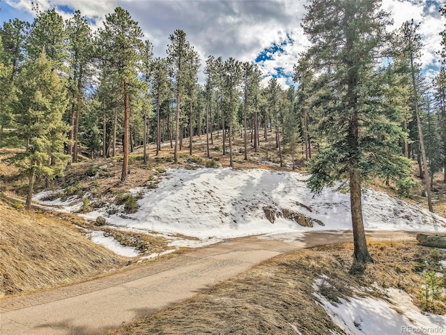 3325 Timbergate Trl, Evergreen, CO 80439