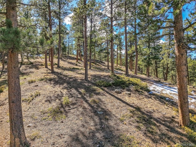 3325 Timbergate Trl, Evergreen, CO 80439